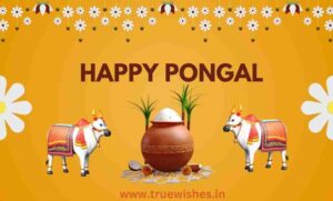 Pongal Wishes