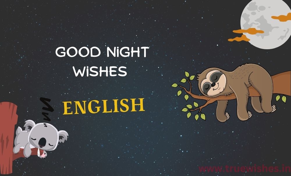 Good Night Wishes