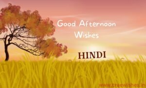 Good Afternoon Wishes In Hindi